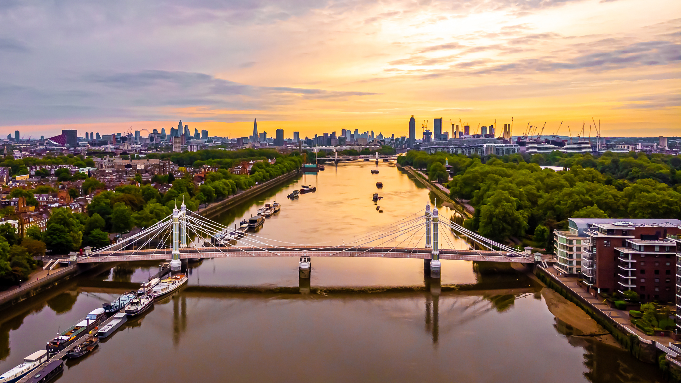 Battersea Aerial View 2